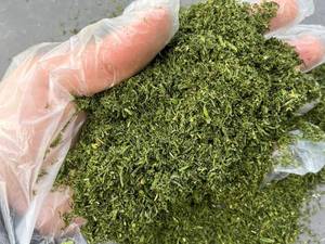 خرید شوید خشک طبیعی رشت