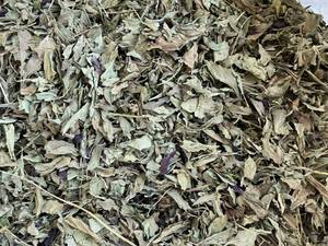 قیمت ریحان برگ خشک شده رشت