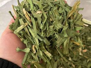 خرید آنلاین تره خشک در یزد
