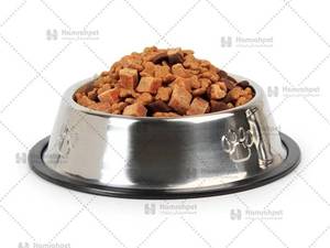 ظرف آب و غذای حیوانات در شیراز