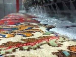  بهترین قالیشویی در تربت حیدریه