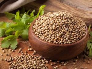 خواص سبزی و دانه گشنیز چیست؟