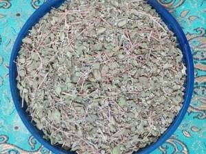 فروش عمده آویشن کوهی در کاشان