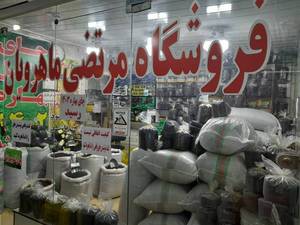 بهترین چای فومن