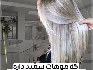 لایت مناسب موی سفید در تهران