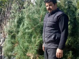 بهترین نهالستان در میاندواب