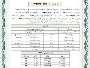 قیمت نهال بادام خوشه ای در دیشموک 
