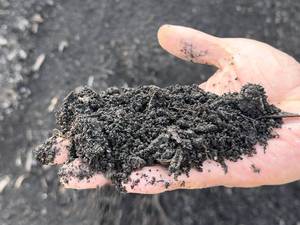 کمپوست خاک مرداب (خاک پیت) در جویبار