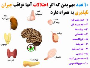 10 غدد مهم بدن که اگر هورمونهای یک از آنها بهم بریزد عواقب بدی به همراه دارد