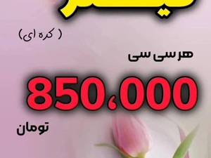 هزینه تزریق ژل لب در رشت
