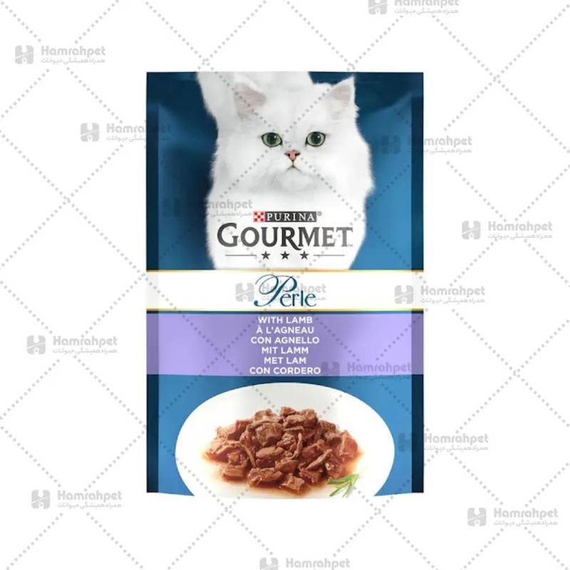 خرید پوچ گربه با طعم گوشت بره