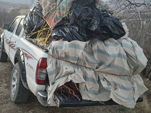 فروش نهال بادام اصلاح شده در شیراز
