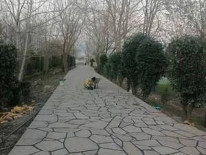 اجرای سنگ لاشه مازندران 