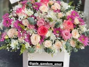 سفارش باکس گل لاکچری در آمل 