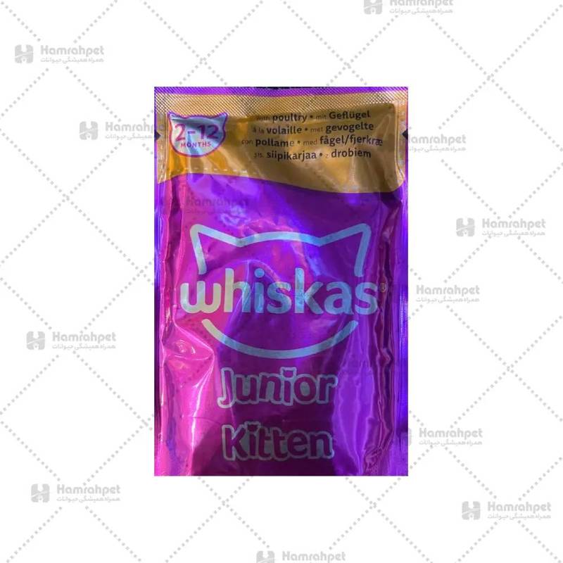 پوچ بچه گربه ویسکاس طعم گوشت طیور در شیراز