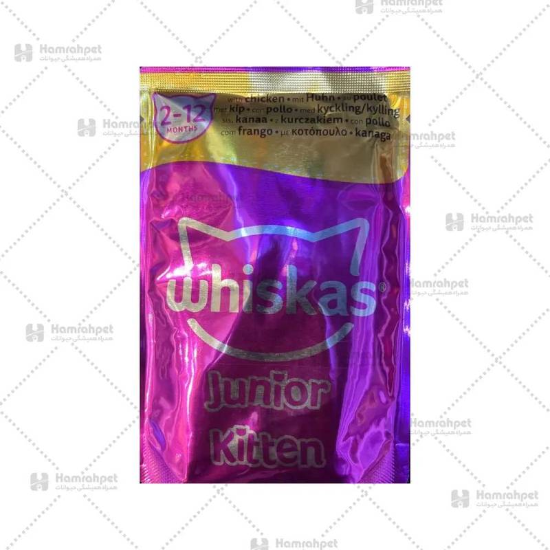 پوچ بچه گربه ویسکاس طعم مرغ در شهریار