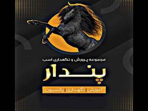 قیمت و فروش اسب در بابک شهر کرمان