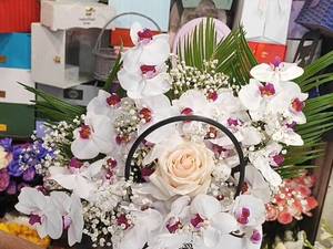 سفارش باکس گل ارکیده در آمل 