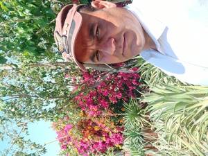 خرید و قیمت نهال پریشه گل کاغذی در اهواز 