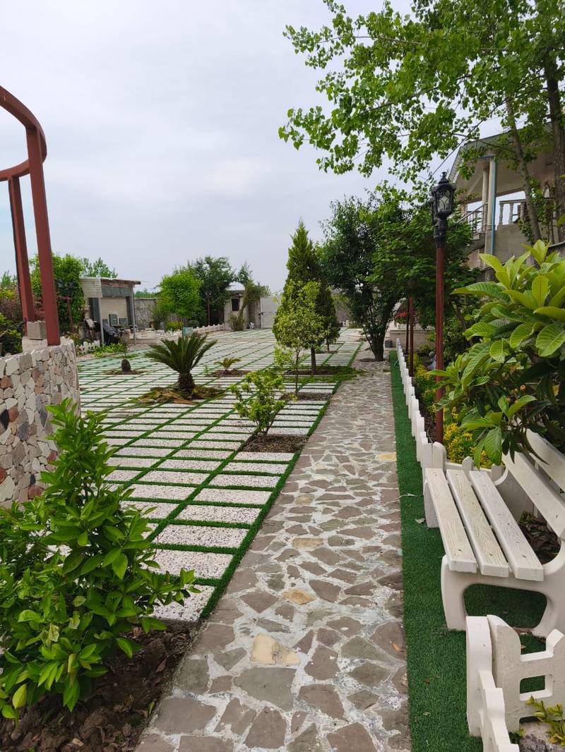 هرس درختان میوه در گلخانه در رشت