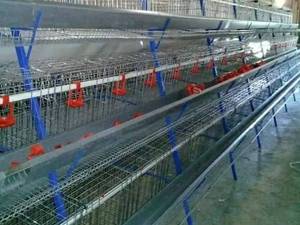 قیمت و خرید قفس مرغ تخم‌گذار در قزوین