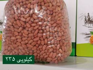 فروش عمده بادام زمینی آستانه اشرفیه 