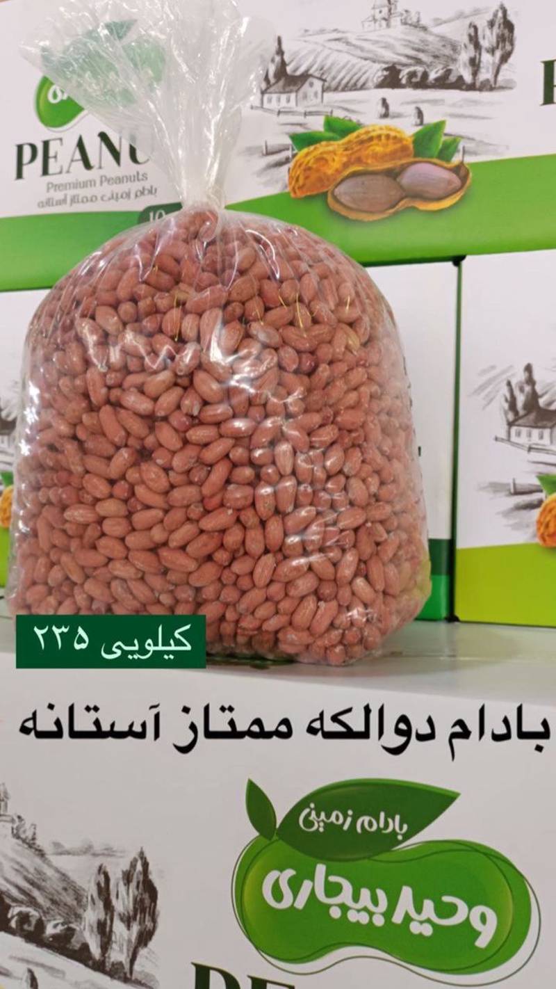 فروش عمده بادام زمینی آستانه اشرفیه