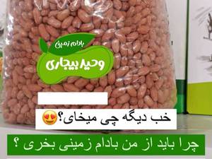 فروش بادام زمینی درجه یک شمال