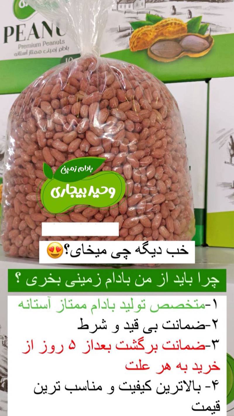 فروش بادام زمینی درجه یک شمال