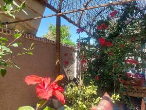 باغ بومگردی کلوت های شهداد