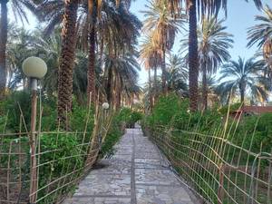 باغ بومگردی کلوت های شهداد