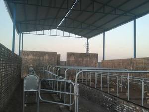 تولید کننده فریم شیردوشی هرینگ بن