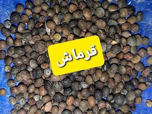 خوراک طیور با قیمت مناسب در ساری