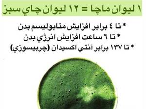 خرید چای ماچا اصل در شیراز
