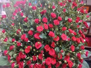 باکس گل لاکچری برای تولد در شهرک قدس تهران