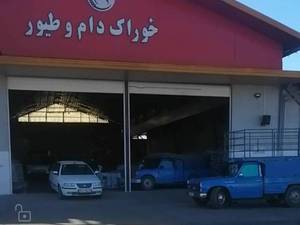 نمایندگی فروش خوراک دام و طیور در قائمشهر