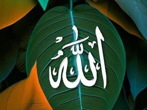 مراکز علمی اهل سنت در چابهار  