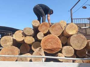 مرکز فروش الوار چوب در اهواز