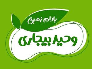 فروش عمده بادام زمینی در ساری