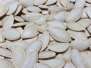 بهترین بذر کدو آجیلی گوشتی در خوی