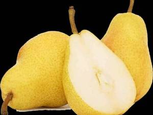 فروش گلابی درجه یک باغی در میاندوآب