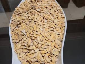 فروش تخمه خربزه آجیلی درجه یک در تربت جام