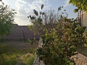 سوارکاری بانوان مبتدی تا پیشرفته در کرمان