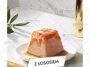 فروش دسر گربه گورمت گوشت در قزوین