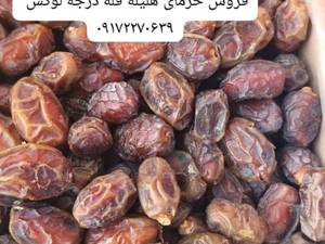 فروش خرمای هلیله فله در قیروکارزین