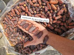 خرید خرمای پیارم درجه یک در قیروکارزین