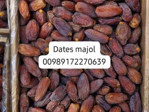قیمت خرمای مجول درجه یک در اقلید