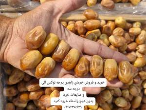 خرید عمده خرمای زاهدی درجه یک قیروکارزین 