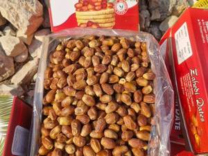 سفارش عمده خرمای زاهدی تازه در قیروکارزین 
