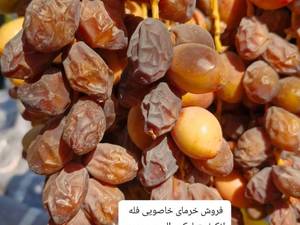 فروش خرمای خاصوی با کیفیت بالا در قیروکارزین